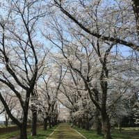 終わる新発田地域振興局長の私案(その1)