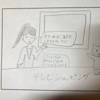 冬のこたナナ、ハイテンション散歩