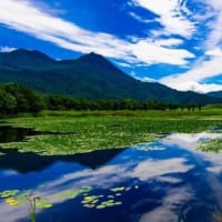 今日から7月2日まで休業？します