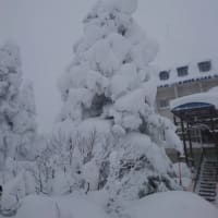 2022スキーシーズン！