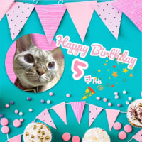 葱子さん５歳の誕生日🎉