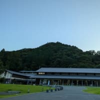 桃活の締めは高尾にて