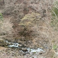 奥塩原そして那須高原へ