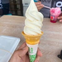 暑い日は大麻山に限ります♪