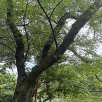 何にもないけど全部ある　〜2025〜