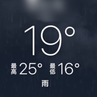 スカイツリーからの浅草：晴曇雨16〜25℃