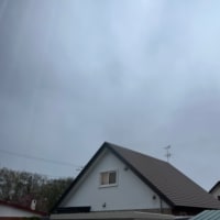 4月最終日❗️予報通りの雨☔️ですね