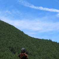イソツネ山（多摩百８６）