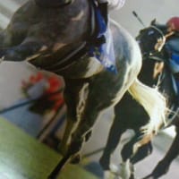 雨の競馬はほどほどに～