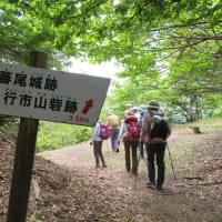 「玄番尾城」460Mに行く！