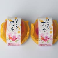 秦（はた）製菓（大和郡山市小泉町）の商品開発力に期待！