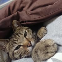 皆で寄り添うのが温かい！！