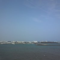 凪いだ尻