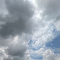 アルコール浸けに期待