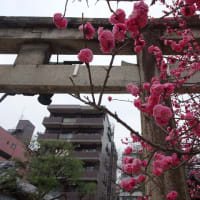 「2025年も管大臣社...」