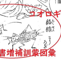 「こおろぎの草子」　　「虫の三十六歌仙」　　1から6