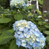 今日いち-2025年7月3日