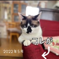 久しぶりにきてみたら