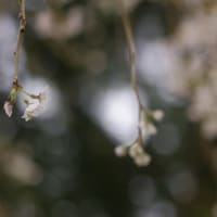 ちょっと息抜き