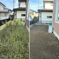 梅雨の季節にこそ必要な「雑草対策」～草むしりが難しい方へ～