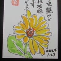 鈴木さんの1月の絵手紙