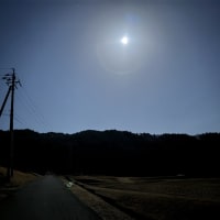 近況など３）皆既月食の夜