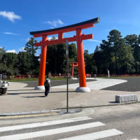 京都五社巡り～ミラクル満載の旅～2