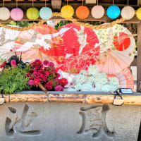 草月流の花手水が夏越祭仕様になりました。