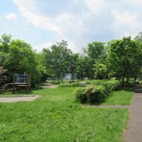 北海道-富丘三樽別公園