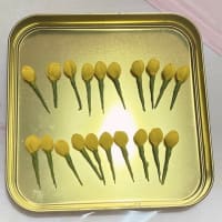 オレンジ系　リース　３０㎝