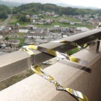 鳩避け対策