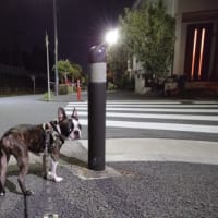 鳥友さん達と高倉町珈琲店へ