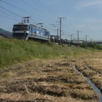山陽本線EF210形　JR貨物のエース機関車　2024-05-18