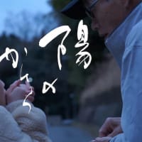 『陽のかけら』