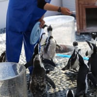 四国水族館