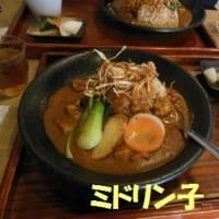 倉敷のオススメ、カレーと大型町屋