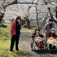 桜のお花見に出かけました！！