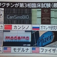 新型コロナ予防接種ワクチン状況