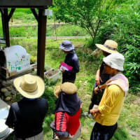 夏の自然菜園体験ツアー【食農イベント】