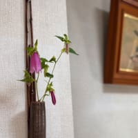 ５月振り返り