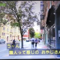 BS-TV世界ふれあい街歩き　NYﾀﾞｳﾝﾀｳﾝ　/　ｶｰﾏｲﾝ・ｽﾄﾘｰﾄ・ｷﾞﾀｰ　1994