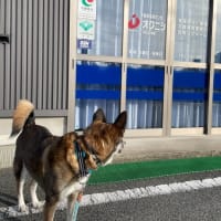食べたい…