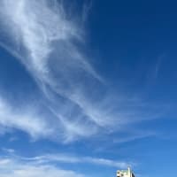 健康食品を摂取し、バランスの取れた食事をすることは、美しくなるための重要な要素か