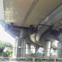 ひとときの涼しさ