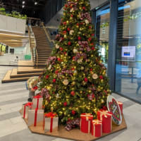来月はクリスマス🎄