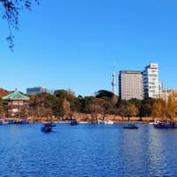 2025年もよろしくお願いします。