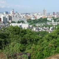 仙台観光