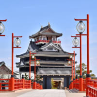 小川遥資のおすすめ