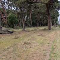 お仕事ご苦労様です