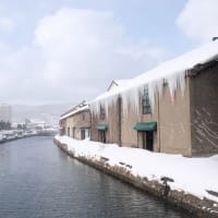 今日の小樽運河